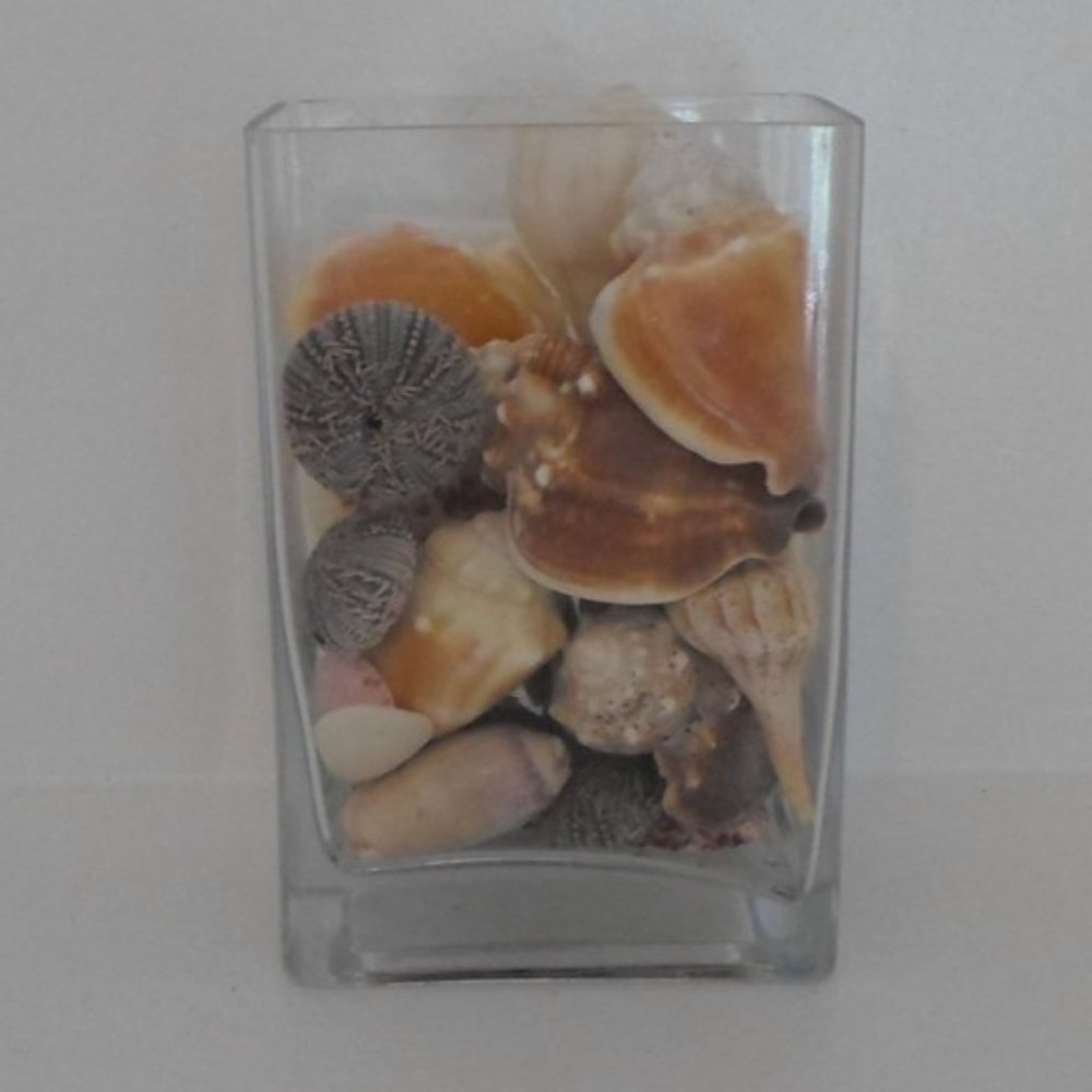 Glass Vase with Seashells